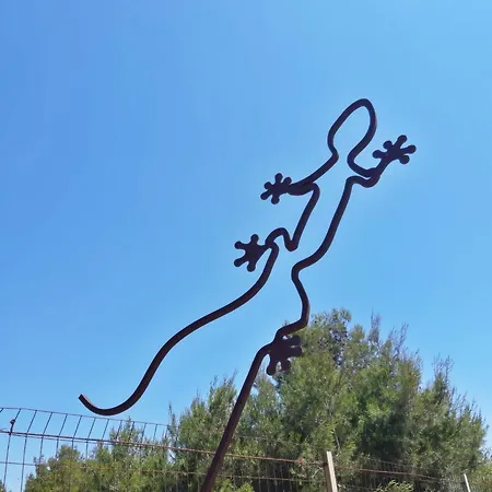 Al Gelso Bianco Casa
